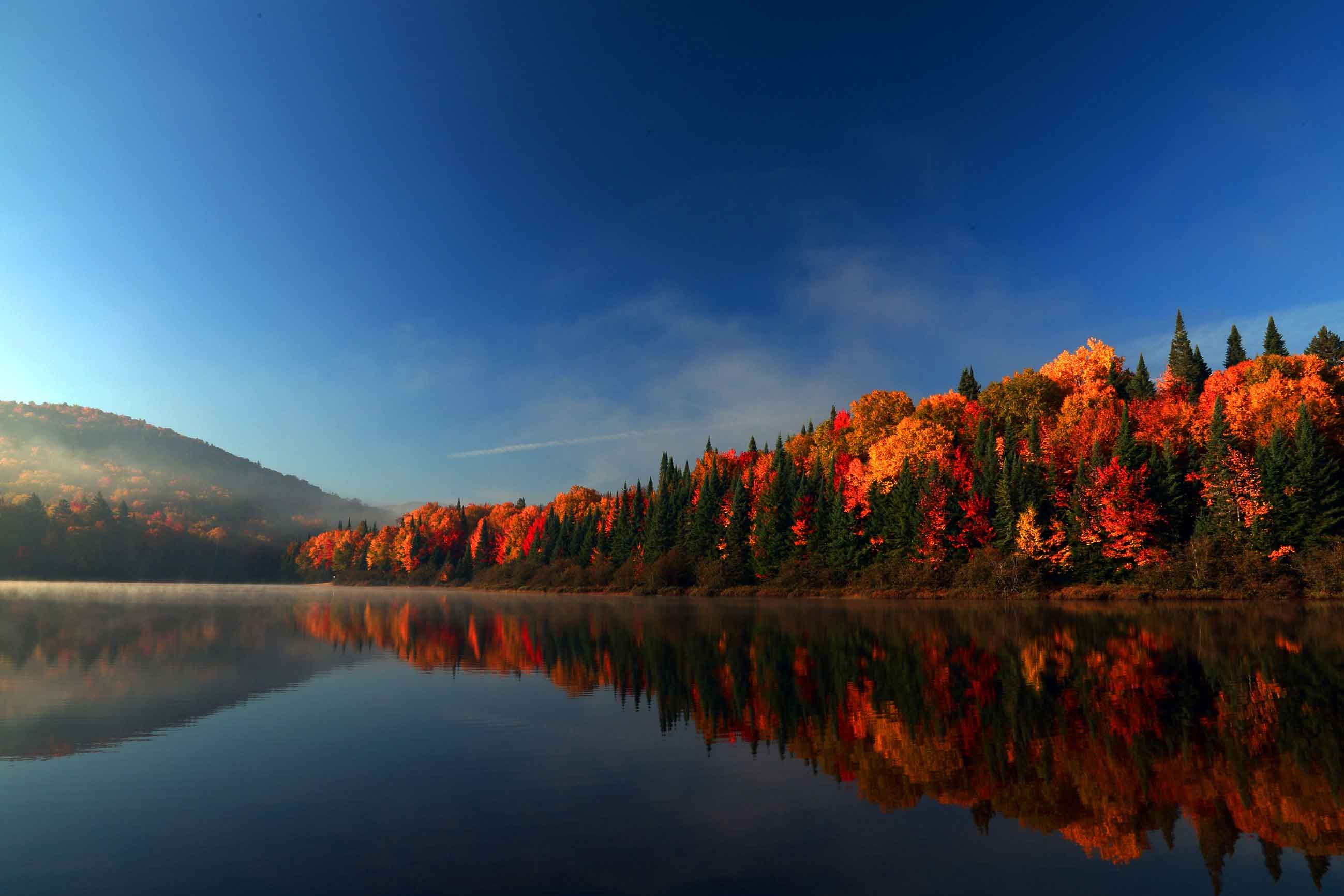 Autumn Trees on a lakeshore