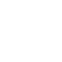 Point 1 Icon